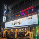 돈돌이막창뒤고기 | 🔥 대구 종로 술집 추천! 대구막창맛집 금막창 종로본점 고기파트세트·곰취물냉면 솔직후기