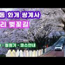 벚꽃구경 가세요 이미지