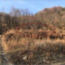 자운3리 마을회관 이미지