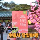 별나무태권도 | 현충사 달빛야행 청사초롱부터 스탬프투어까지 후기 (26년 5월 1일-3일)