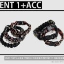 에코포르테 이미지