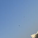 진리의국밥