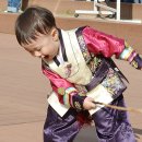 이제 묘사는 가족단위로 참여하는 축제로 승화시켜야 한다 이미지