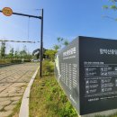 싸움의고수 평택고덕점 | 평택고덕맛집 갓잇 파히타 타코세트 후기