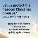133 D. 갈라디아서 5 : 1-12 그리스도께서 주신 자유를 지킵시다. 20260513수 이미지