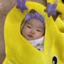 롯데쇼핑(주)롯데마트충주점 | 충주 롯데마트 윙윙베이비스쿨 가을학기 후기