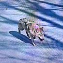 대전오월드 이미지