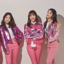 핑크레이디 - 천안시 동남구 | 핑크레이디