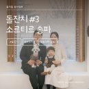 돌잔치 #3 유럽 감성의 꽃밭에서 완벽했던 돌잔치 소르티르 송파 / 세느앤발렌 / 레플레르 스냅