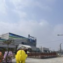 달래강물빛산책로 | 괴산 아쿠아리움 실내 나들이 추천 아이와 함께