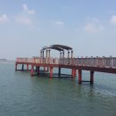 신동습지 이미지