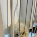 아리아폴 이미지