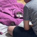 솔로몬 펜션 | 월요병 이겨내~!