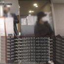 야돼지다