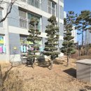 불당라온어린이집 이미지