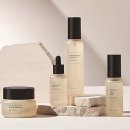 제일코리아 이미지