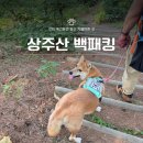 상주애견 | 강화 석모도 가볼만한곳 상주산 애견동반 백패킹 후기