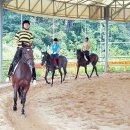 부안아리울승마장 이미지