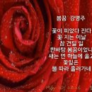 봄꿈