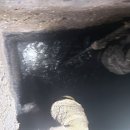 터미널세차장 이미지