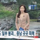 쌍용역앞도로 이미지