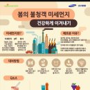 초미세먼지 영상 이미지