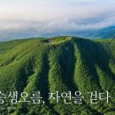 자연을담은약국 이미지