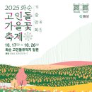 꽃 전남일보