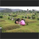 망월묘지공원(관리사무소) 이미지