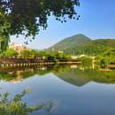 영산 만년교 이미지