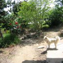 은식농장 이미지