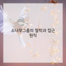 소나무경영컨설팅