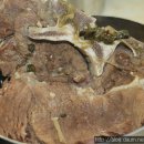 [서울/은평구/불광동맛집]불광먹자골목 40여년 전통의 소뼈선지해장국~골목해장국 이미지
