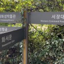 수원-1358 티스토리