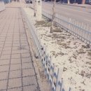 국수세탁소 이미지