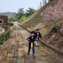 금대초등학교 이미지