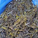 월정농장 이미지