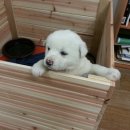 순덕농장 이미지