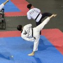 서울 은평 태권도 이미지