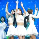아린