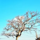 월령리사무소 이미지