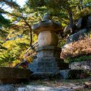 중앙길(문화의거리)상가 이미지