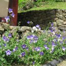 비엔나모텔 이미지