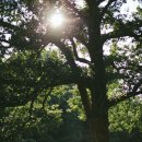 크로스핏 아수라 이미지