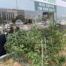 버스정류장(광주무역회관) 이미지