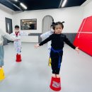 다오름태권도장 이미지