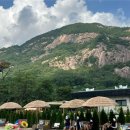 포천 명성산 뷰 보고 반해버린 [ 글램포레 글램핑 ] 스위트 카라반 후기 ⛰️💚