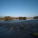 고달리다리 이미지