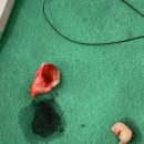 구구치과의원 이미지