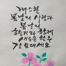 따스한봄날 이미지